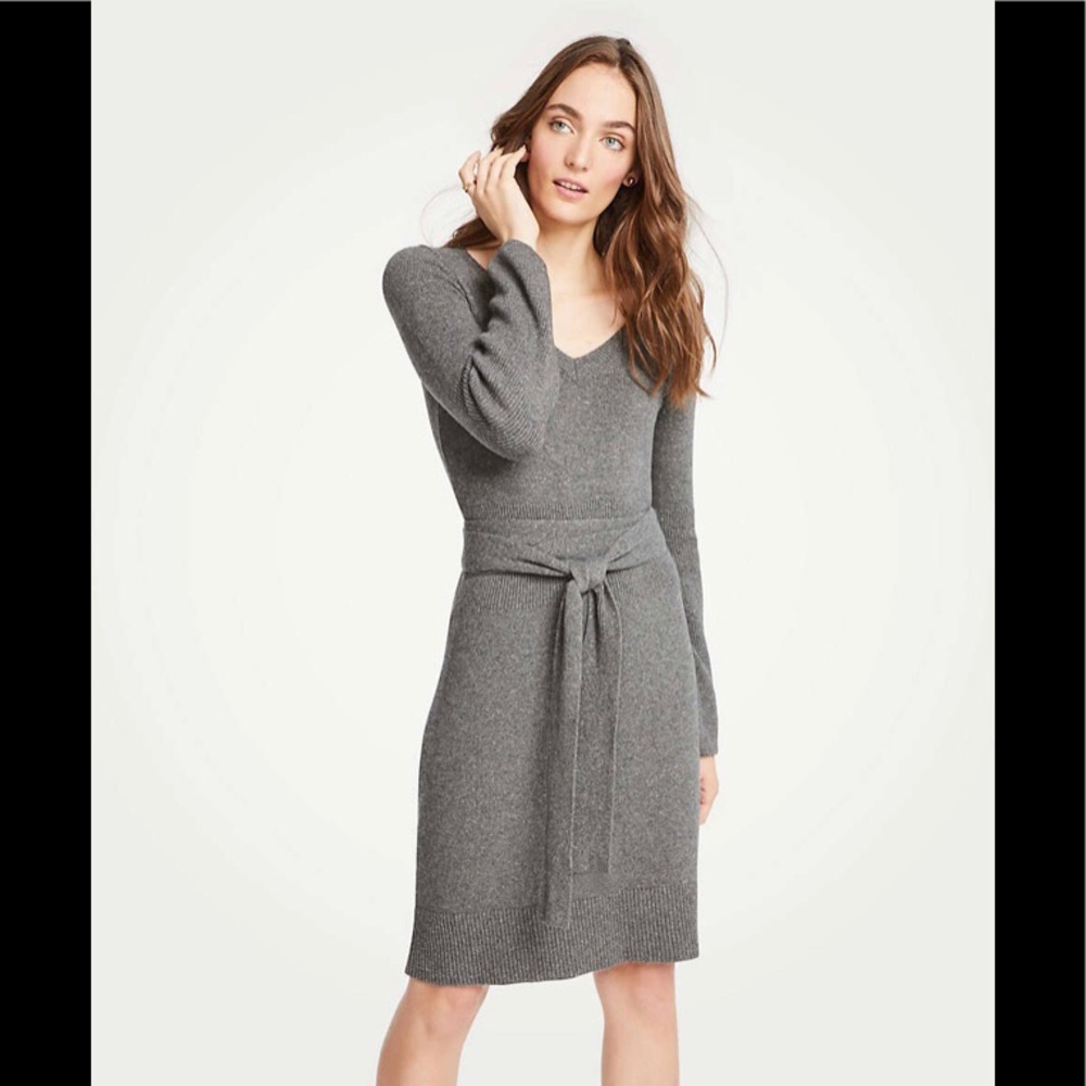 Ann Taylor Petite Tie waist V-neck sweater dress